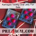 Kamagra 100Mg Oral Jelly For Sale 14